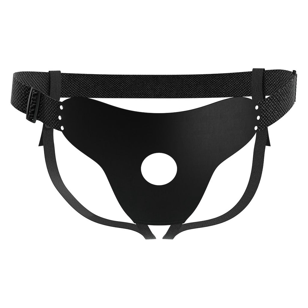 Pretty Love Harness Briefs Slips