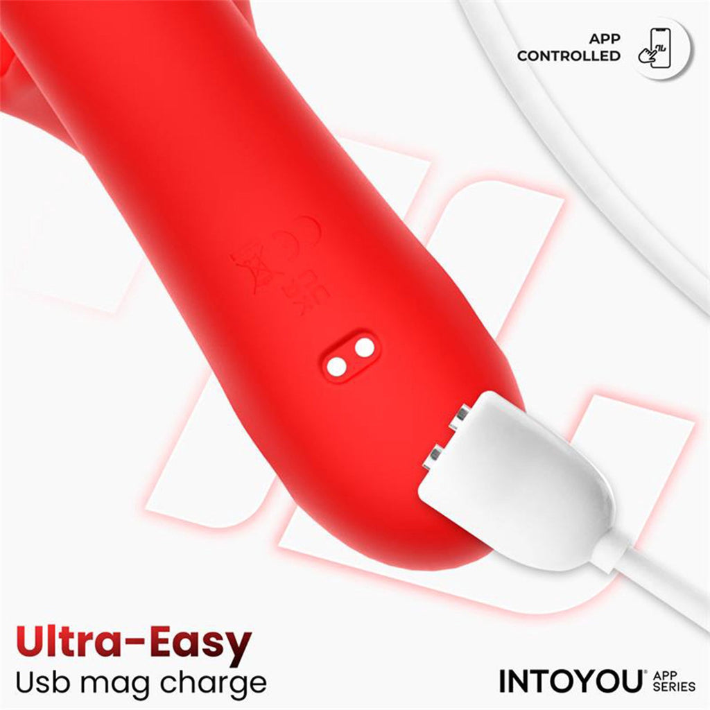 IY - Franky - Bijtende en roterende balvibrator met app
