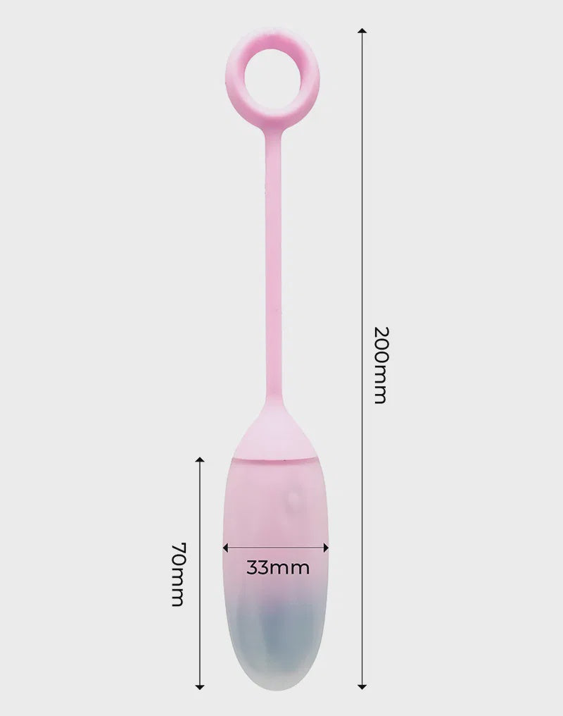 IY Vibrerend Ei met App. Roze/Blauw