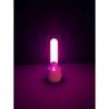 Paradise Pleasure Illumination The Bullet