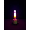Paradise Pleasure Illumination The Bullet