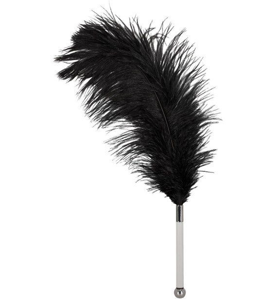 Bad Kitty Tickler met Struisvogel Veer en Glazen Handvat