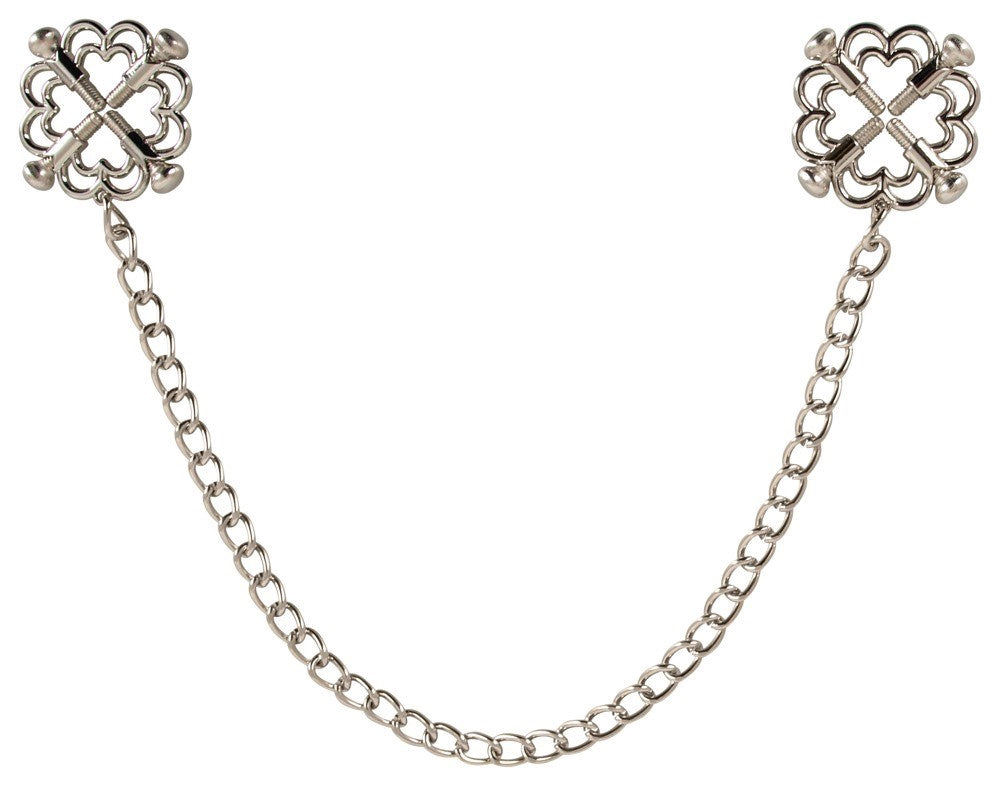 RVS Tepelklemmen met Schakelketting en 4 Drukschroeven