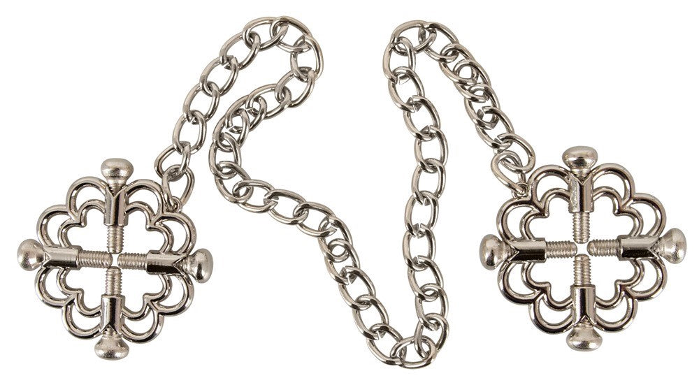 RVS Tepelklemmen met Schakelketting en 4 Drukschroeven