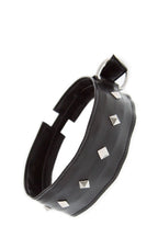 Guilty Pleasure Halsband + Riem
