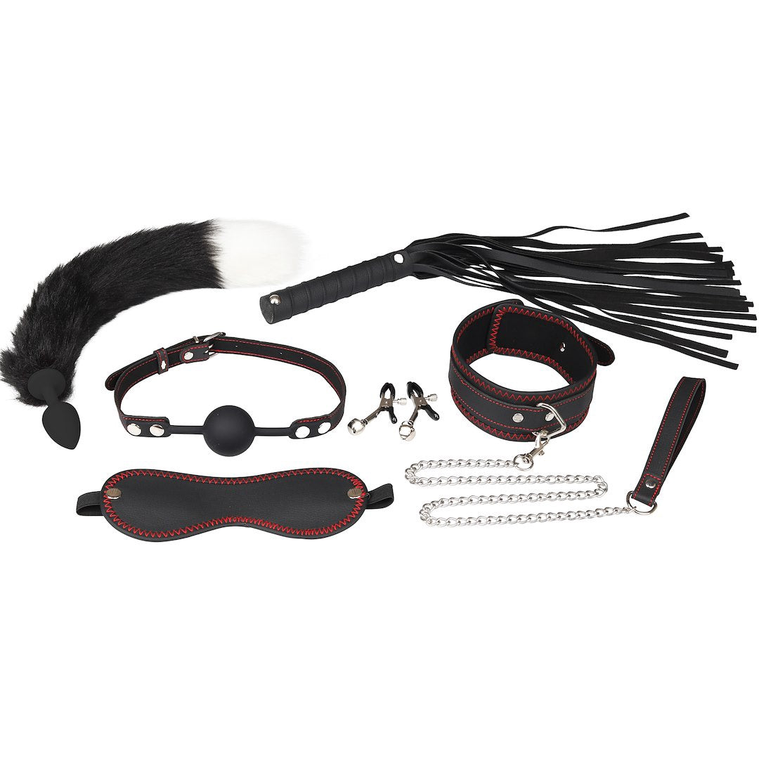 BDSM SET WITH 7 PRODUCTS EROSPACE WILD PLAY C8