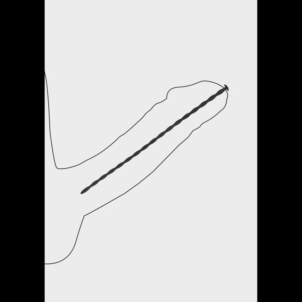 Siliconen Spiraalschroef Plug Set Beginners