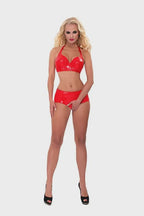 GP DATEX BEUGEL BH ROOD