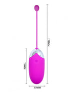 VIBRATIE EI MET APP CONTROL Pretty  Love