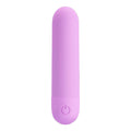 Pretty Love Stefan Mini Bullet Vibrator Oplaadbaar Paars - Private Fun