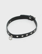 Halsband 1.5 cm. breed, versierd met studs