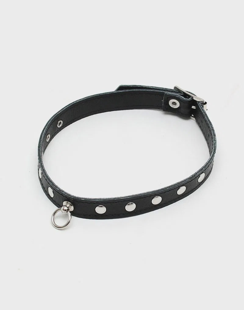 Halsband 1.5 cm. breed, versierd met studs