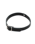 HALSBAND 1.5 CM. BREED 7529