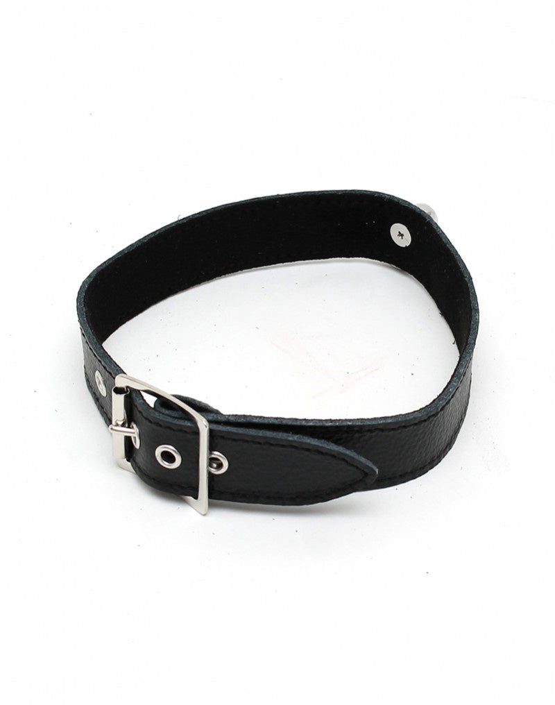 HALSBAND 2.5 CM BREED GLAD ZONDER SIERNIETEN