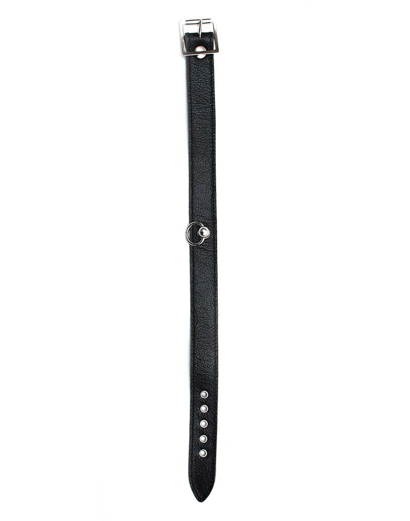 HALSBAND 2.5 CM BREED GLAD ZONDER SIERNIETEN