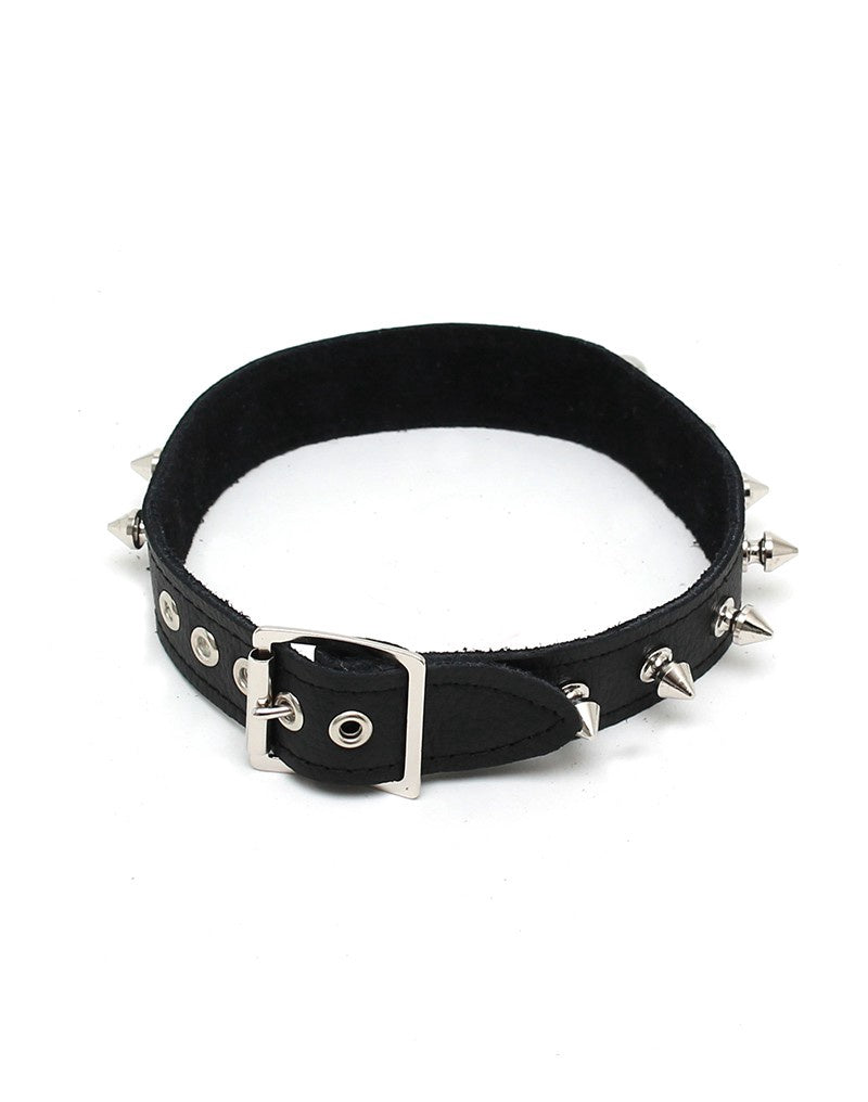HALSBAND 2.5 CMBREED VERSIERD MET SPIKES
