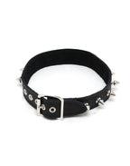 HALSBAND 2.5 CMBREED VERSIERD MET SPIKES