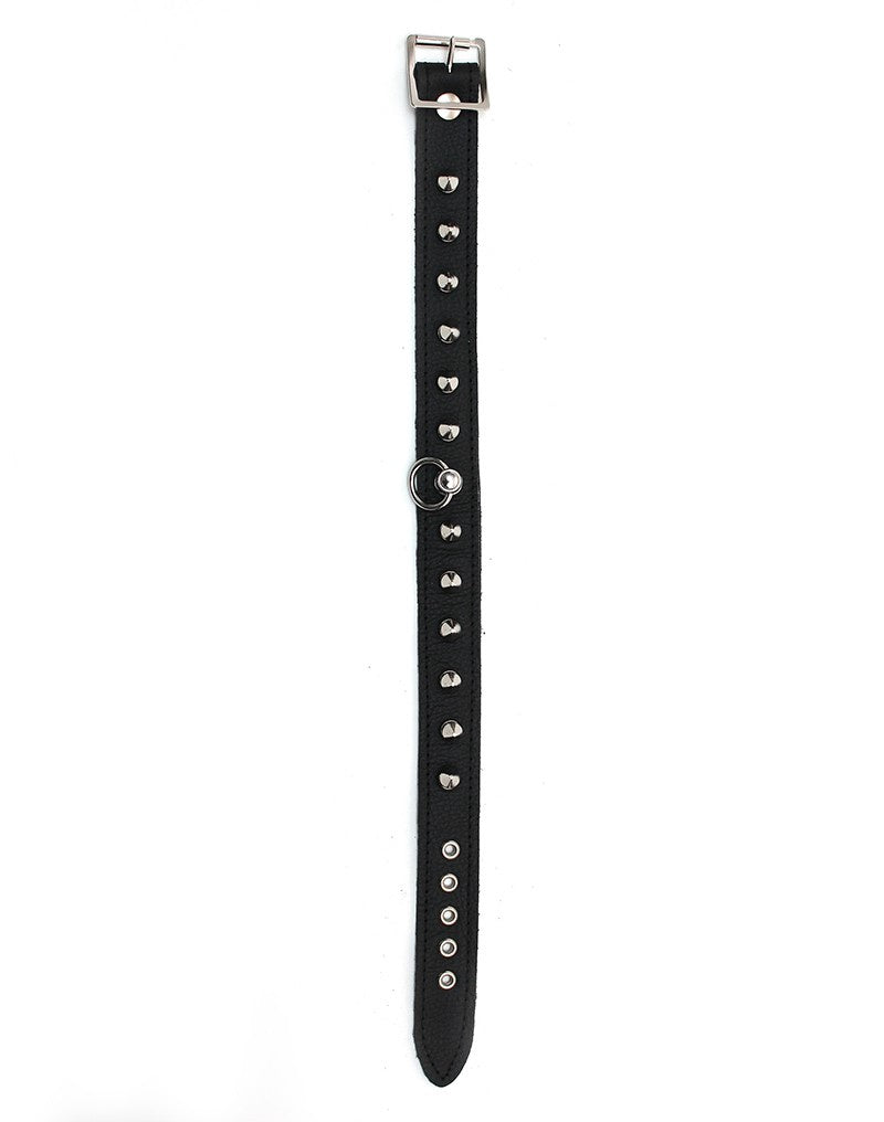 HALSBAND 2.5 CMBREED VERSIERD MET SPIKES