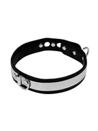 LEDEREN HALSBAND 3 CM BREED MET METAAL EN HANGSLOT