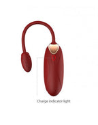 VIOTEC OLIVER PRO DRAAGBARE VIBRATOR MET APPBEDIENING GOUD WIJNROOD